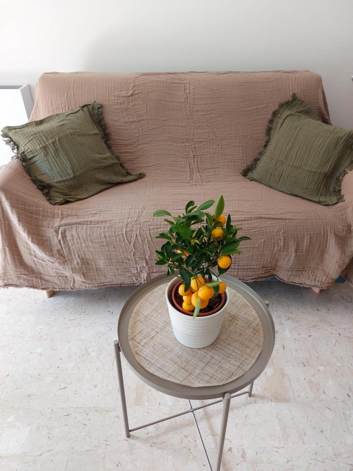 Appartement 2P Renove Avec Terrasse Au Port De Nizza Kültér fotó