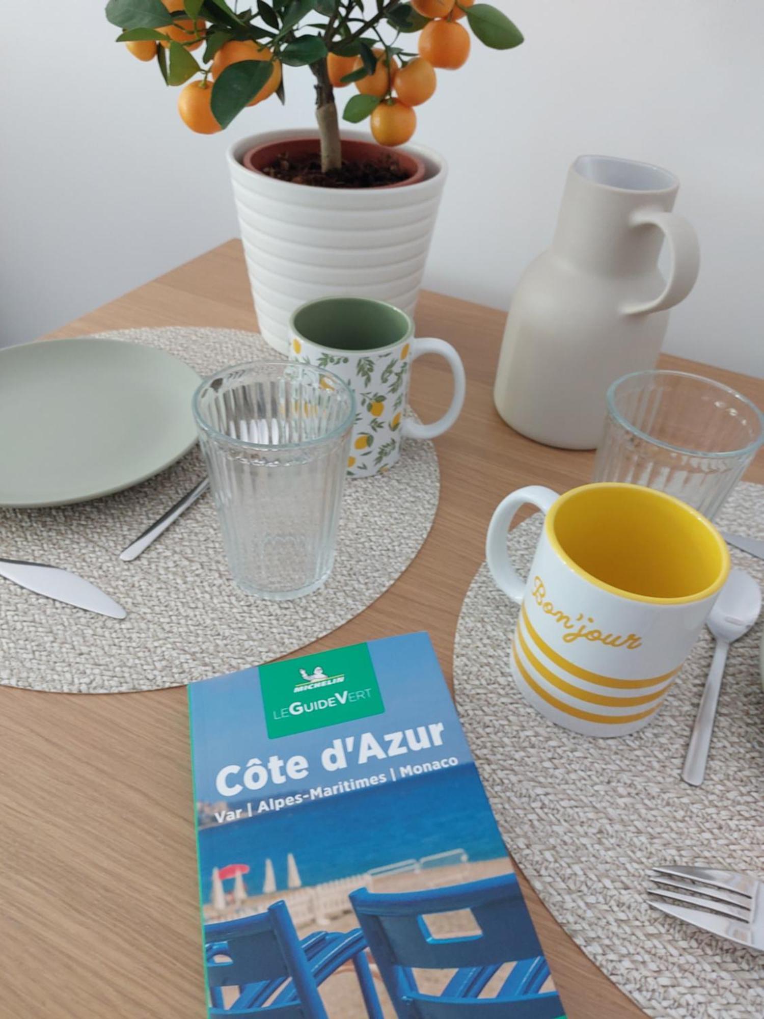 Appartement 2P Renove Avec Terrasse Au Port De Nizza Kültér fotó